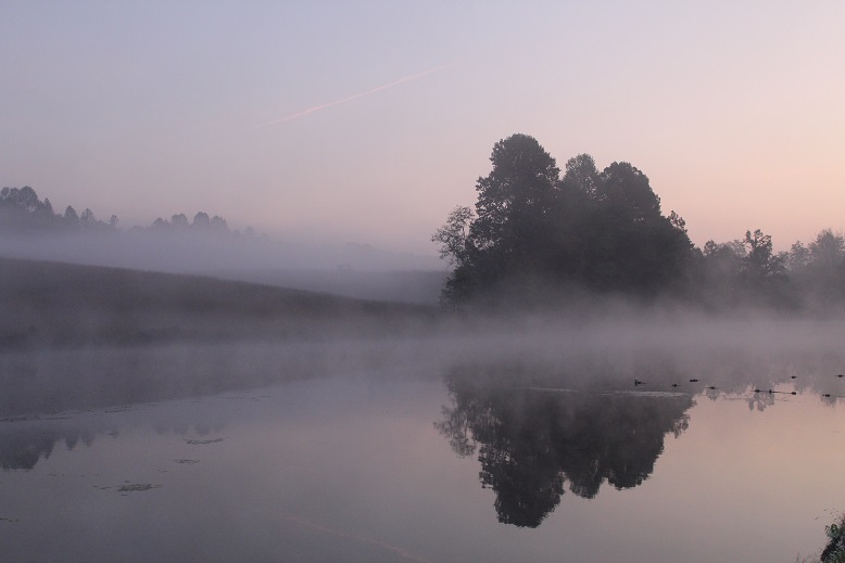 Morning fog